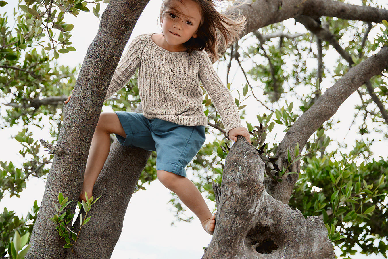 Raglan Sweater - Nr 6 - Image 3