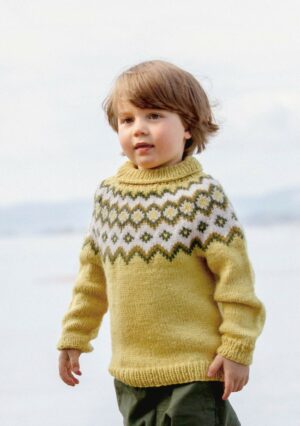 Sweater 4240S - Nr 6