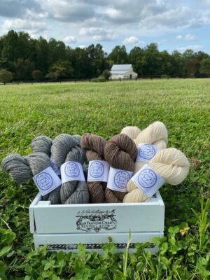 Love Ewe Farm Romney Sheep Worsted Yarn