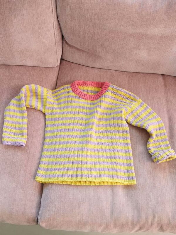 SEDRICK SWEATER JUNIOR - Image 2