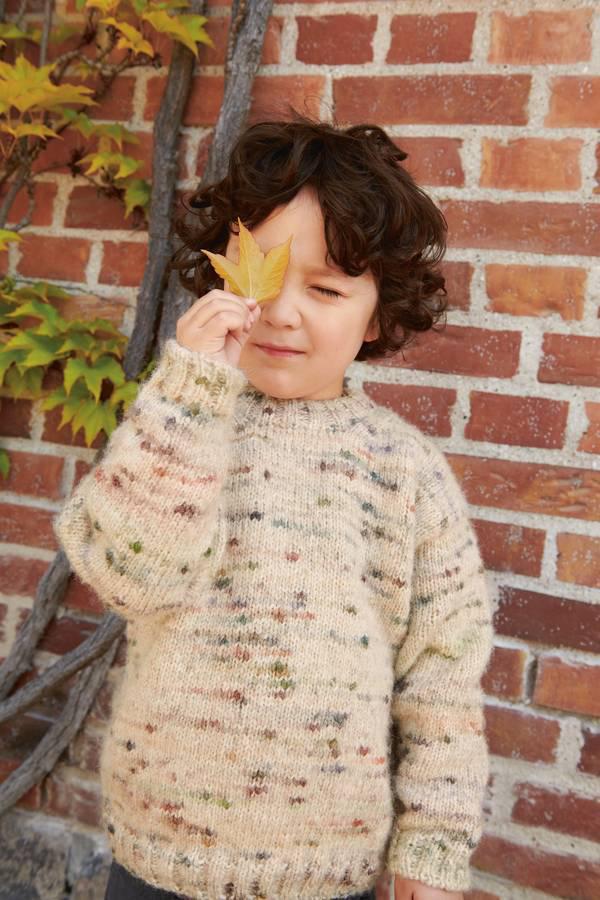 DAVE SWEATER JUNIOR
