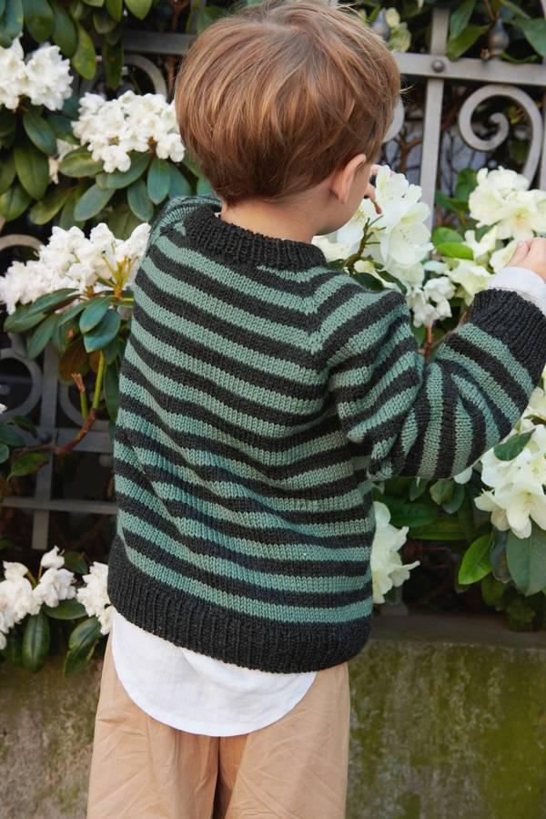 SOUTH SWEATER JUNIOR - Image 2